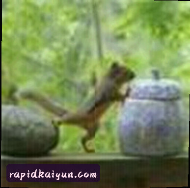 孙鹏