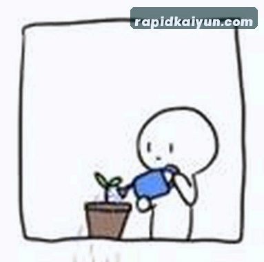 周涛